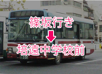 ２番乗り場「篠坂行き」のバスに乗り「培遠中学校前」で下車します